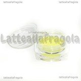 Sabbietta Fluorescente 2.5gr Cod.06