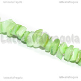 Filo Chips Madreperla Verde 6.2x6.2x1.32mm 38.5cm