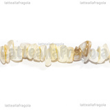 Filo Chips Madreperla Bianco 6.2x6.2x1.32mm 38.5cm