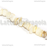 Filo Chips Madreperla Bianco 6.2x6.2x1.32mm 38.5cm
