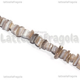 Filo Chips Madreperla Marrone Striato 6.2x6.2x1.32mm 38.5cm