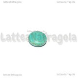 5 Perle a Gettone in Pasta di Turchese Azzurro 14mm